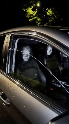 See it in action